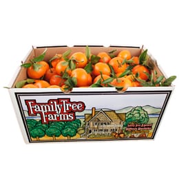 Family Tree Farms Satsuma Mandarins, Case
