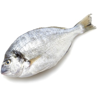 Royal Dorade, Farm-Raised