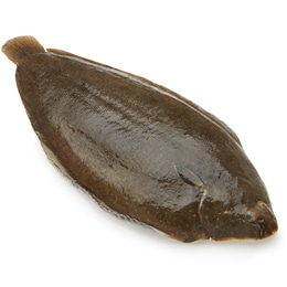 Whole Dover Sole, Farm-Raised