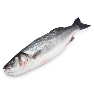 Extra Jumbo Branzino (Serves 4-5)