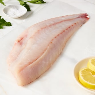 Seremoni Grade Wild Vermillion Rockfish Fillet