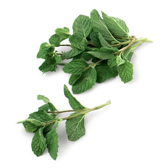 Organic Mint