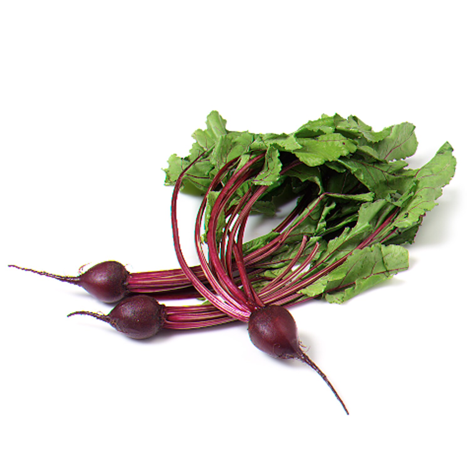 Deer Run Farms Bunched Red Beets