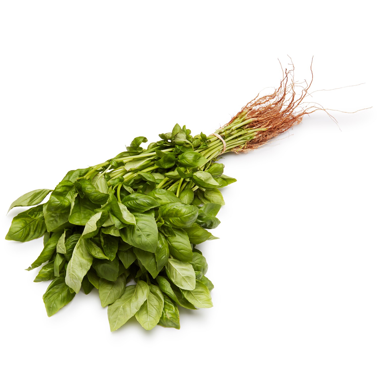 Deer Run Farms Basil