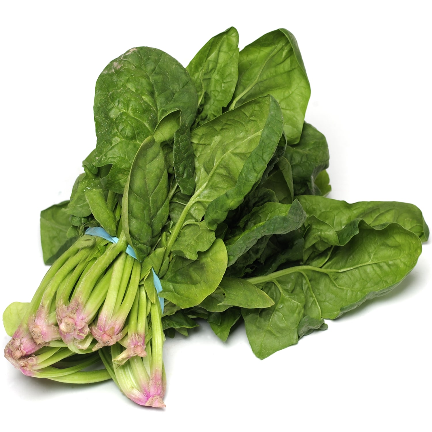 Jersey Fresh Local Bunched Spinach