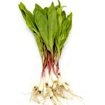 Ramps Veg