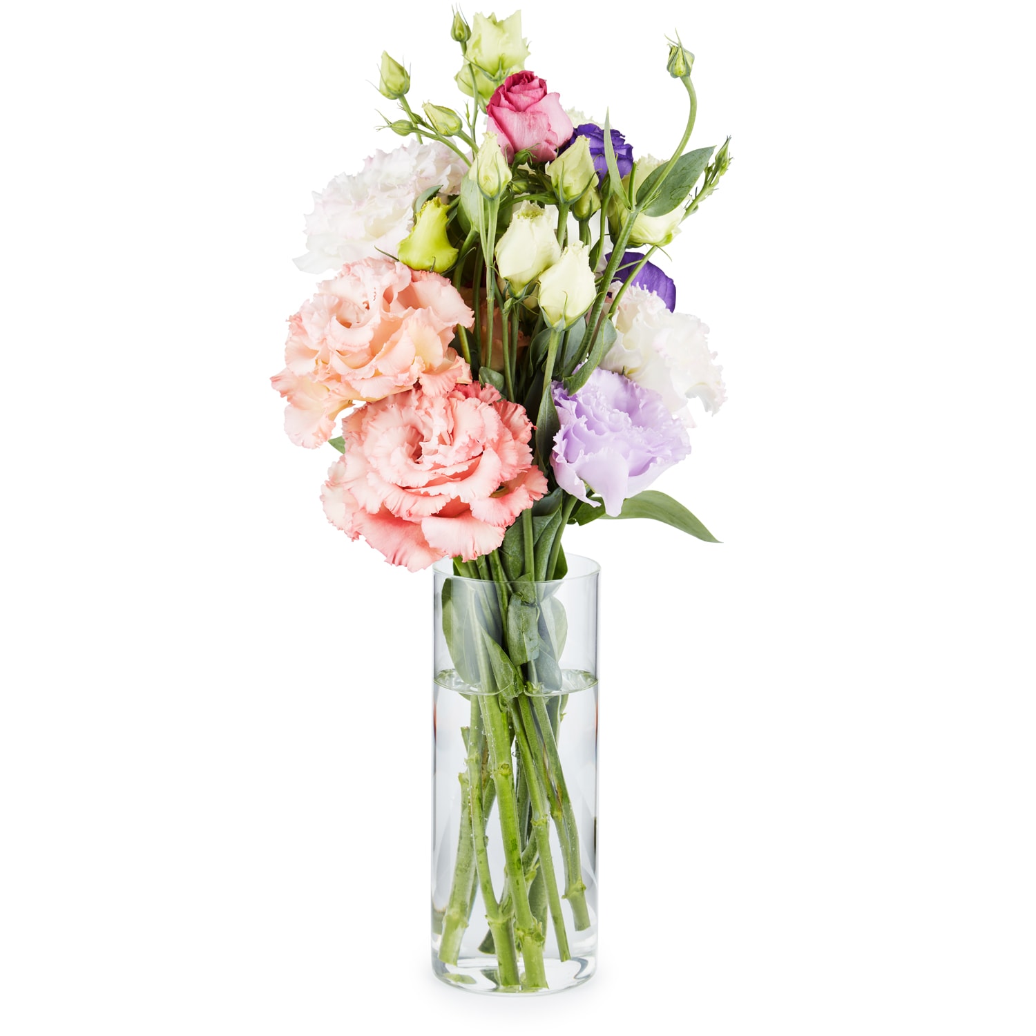 Lancaster Farm Fresh Cooperative Lisianthus, Locally Grown