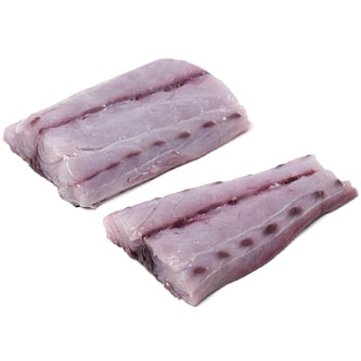 Local Wild Bluefish Fillet