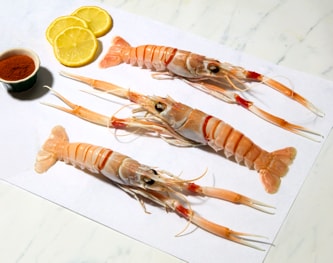 Wild Langoustines