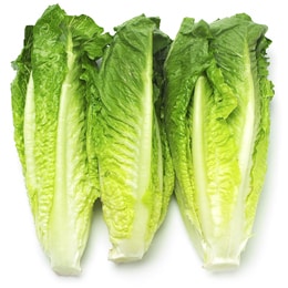 Organic Romaine Hearts